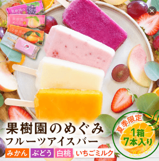 果樹園のめぐみ フルーツアイスバー7本/14本